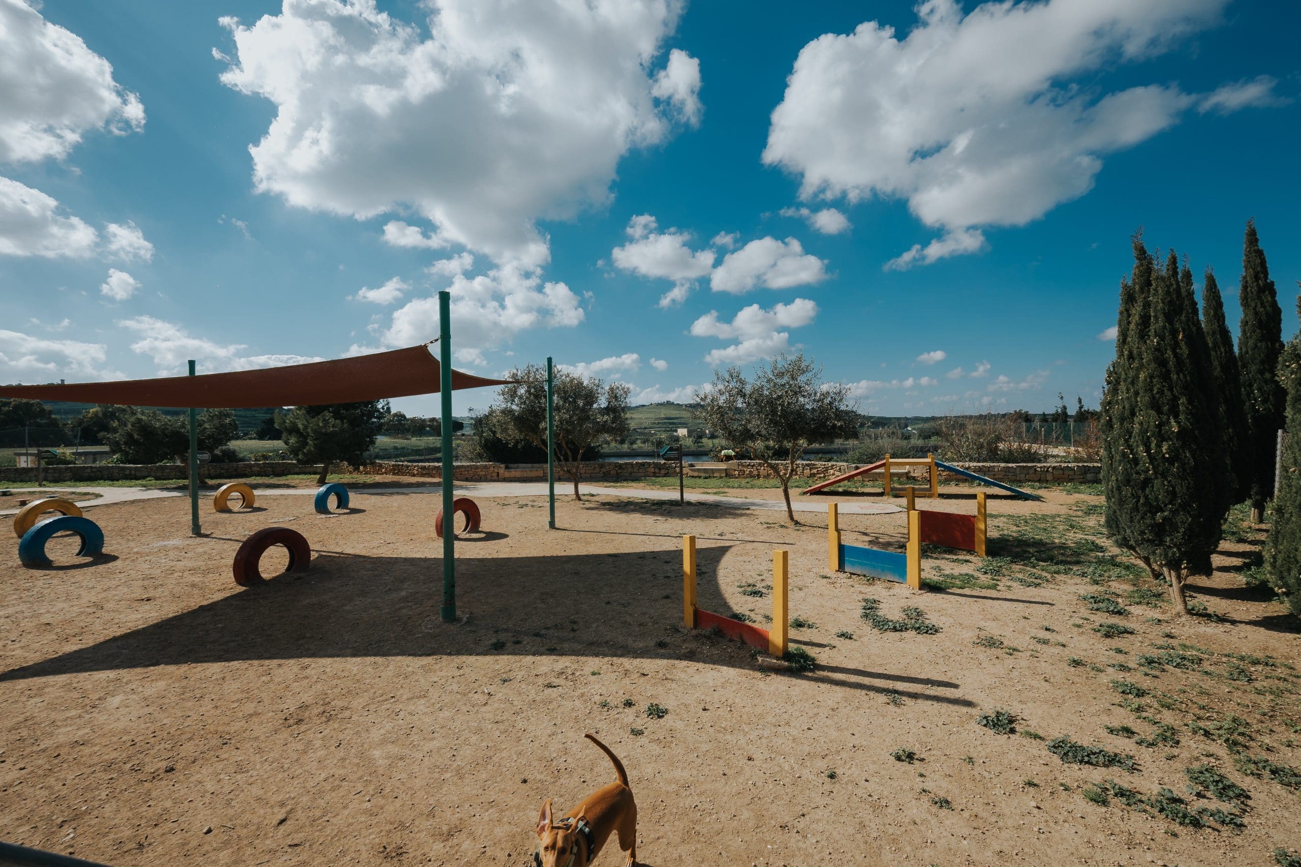 Attard - Ta' Qali Dog Park - 381 - shaunspiteri